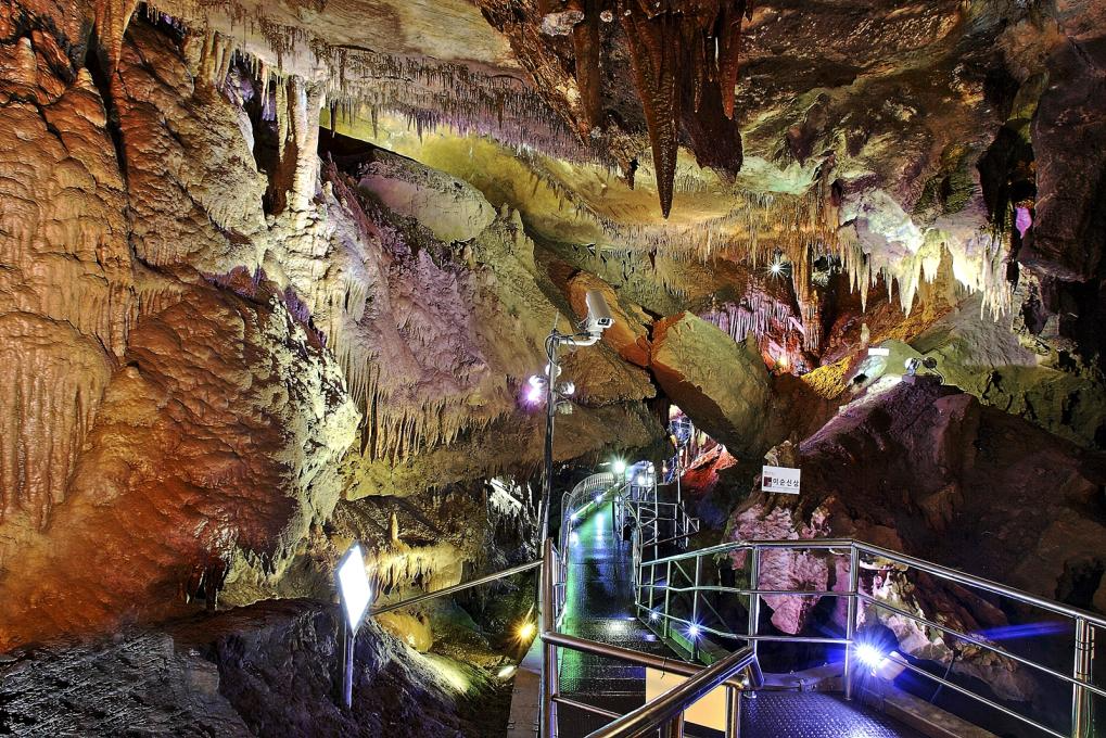 동해 가볼만한곳 베스트10 천곡 황금박쥐동굴