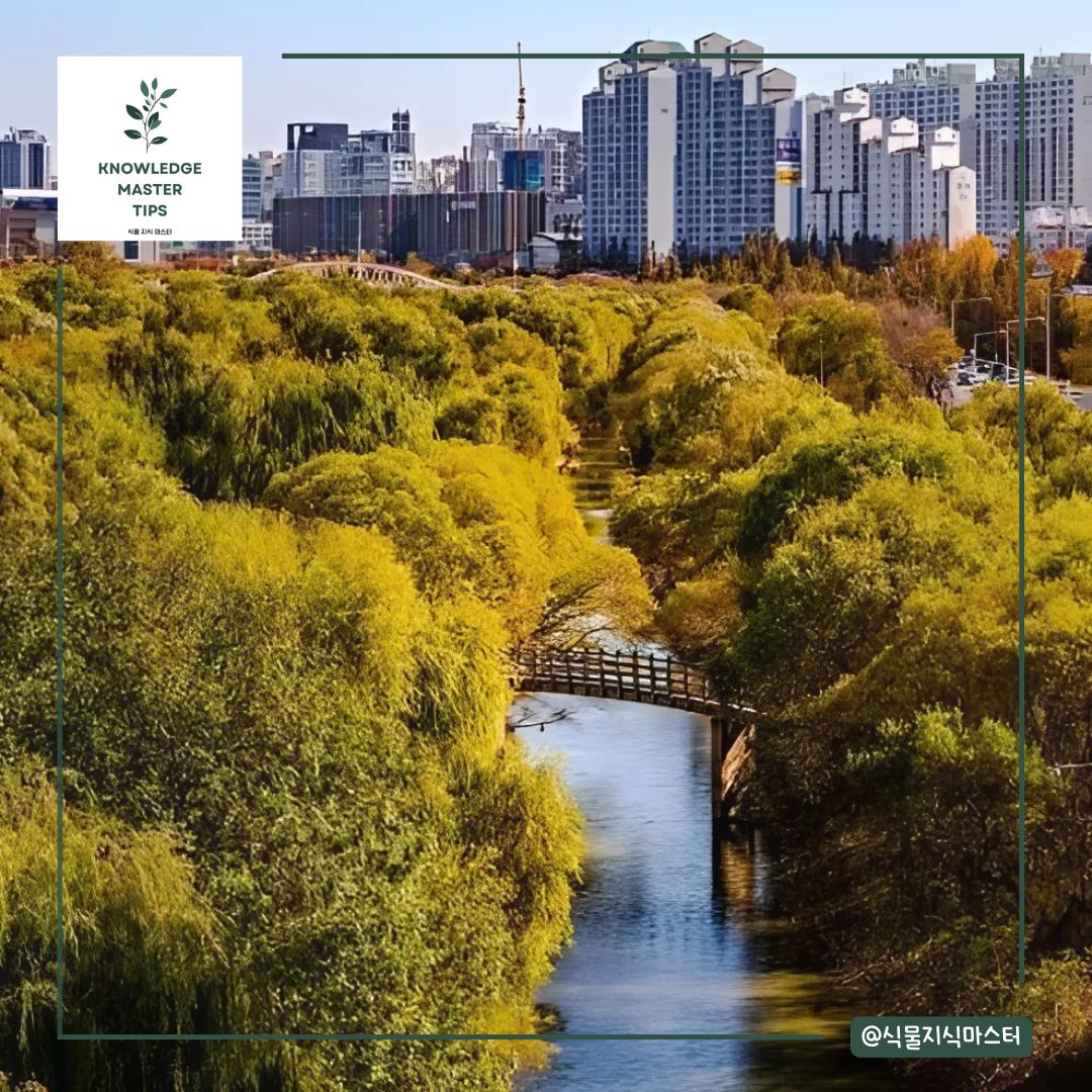 서울 단풍 명소 - 여의도 샛강 생태공원
