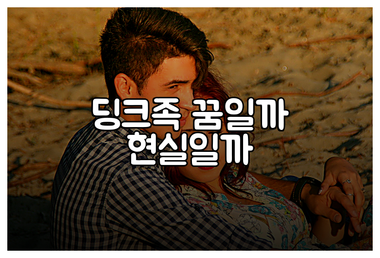 딩크족 꿈일까 현실일까