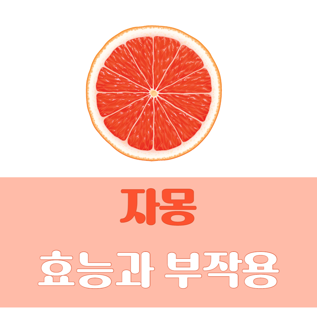 자몽 효능 부작용