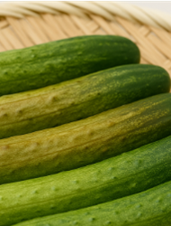 오이지 물없이담그는방법