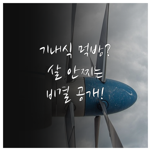 비행기 안에서 살 찌지 않는 기내식 ..