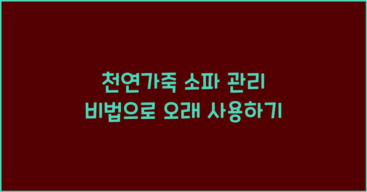 천연가죽 소파 관리