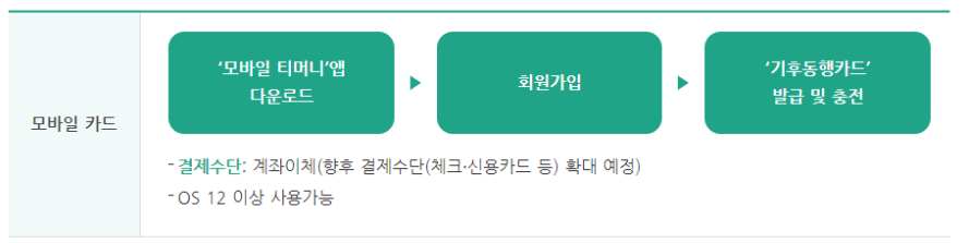 기후동행카드 K패스