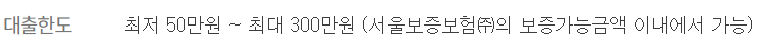 하나은행 비상금대출