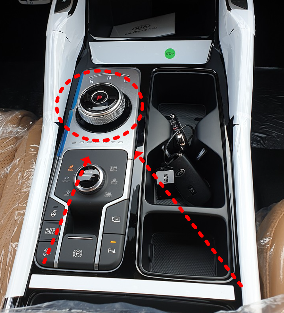 기아쏘렌토중립주차