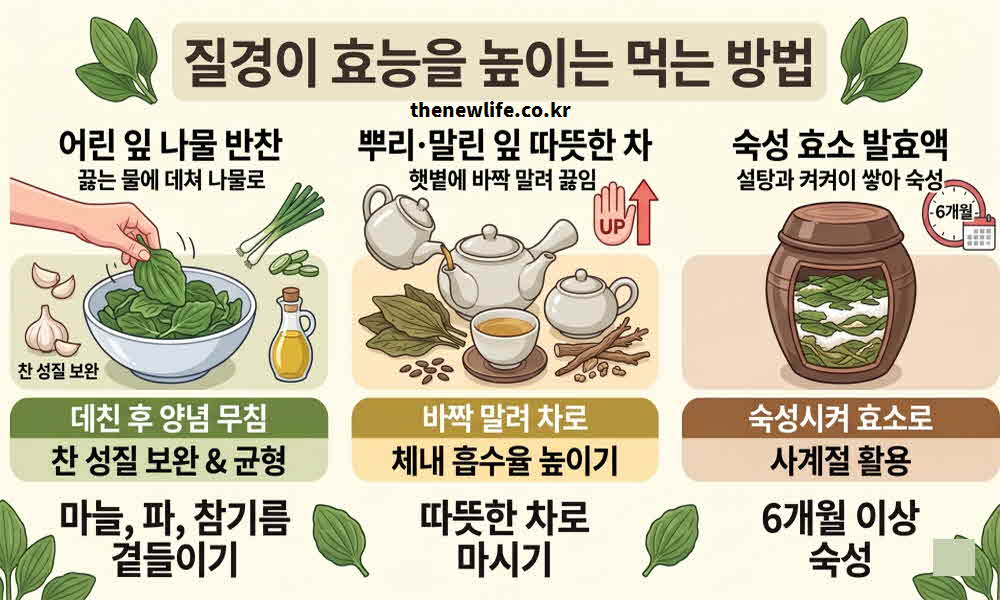 질경이 효능 높이는 먹는 방법
