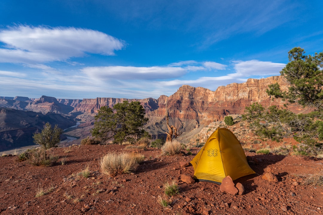 'Camping'