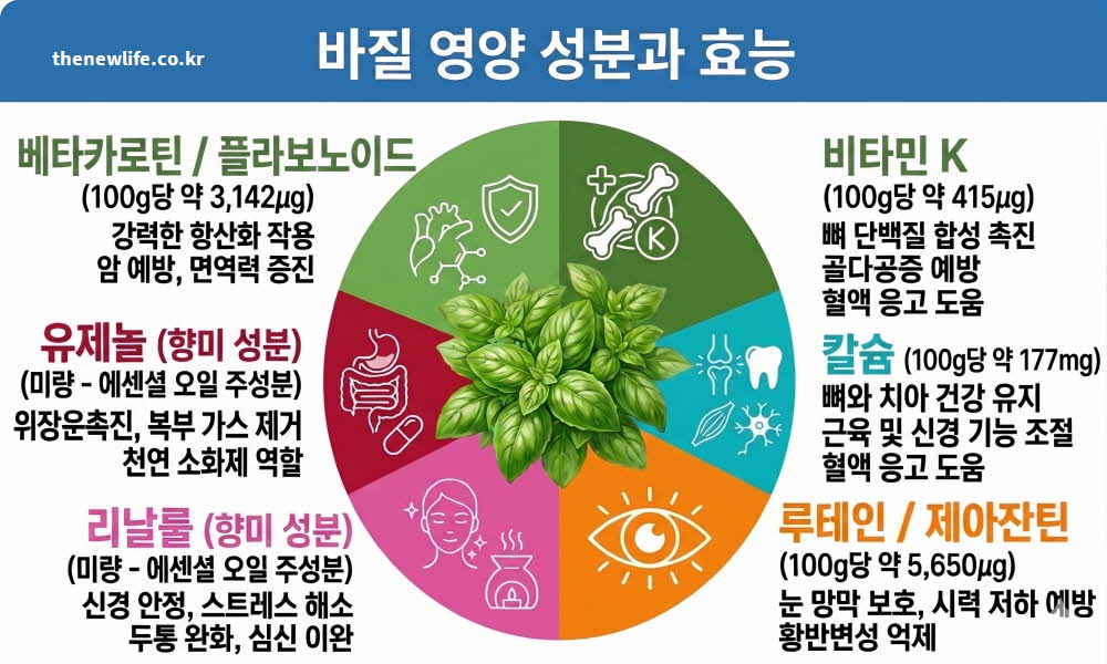 바질 효능 영양 성분