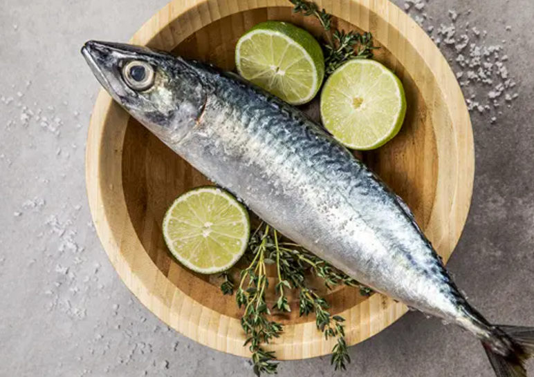 저속노화에 꼭 필요한 오메가3 복용법 추천제품