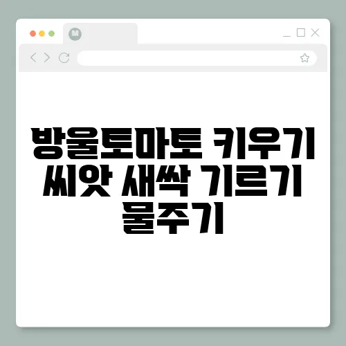 방울토마토 키우기 씨앗 새싹 기르기 물주기