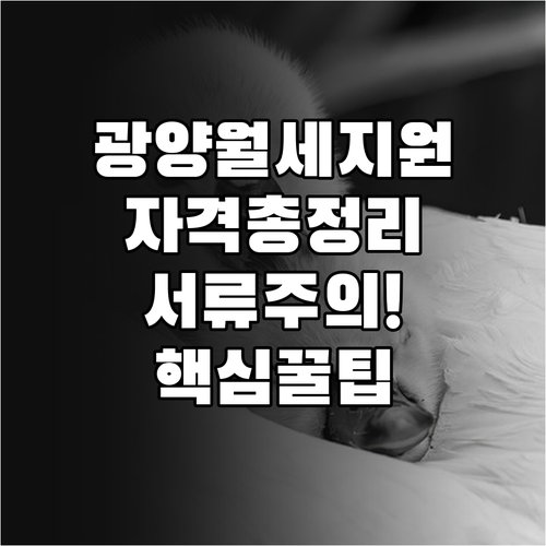 광양시 청년 월세 지원 소득 기준 및..