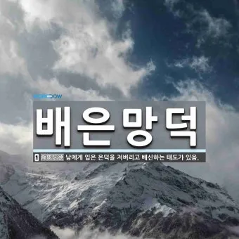 배은망덕 뜻 의미 실제 사례 유래_33