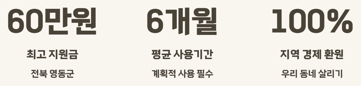 2026년 3차 민생지원금