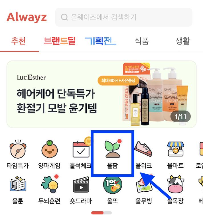 올팜-접속-방법