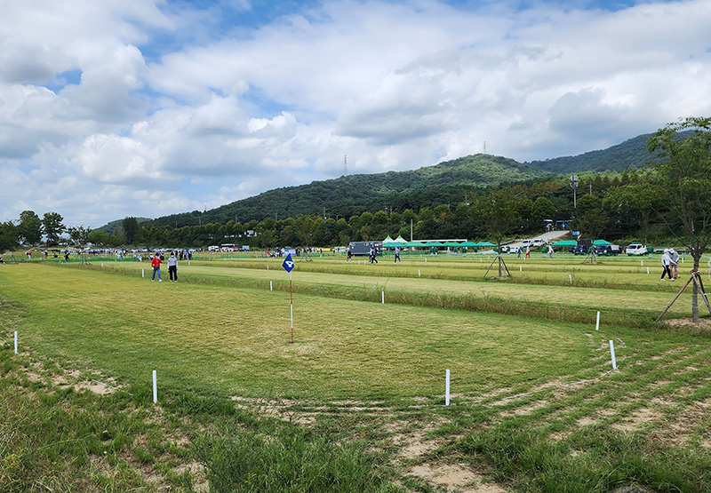 하루 대기자만 수백명 서봉파크골프장