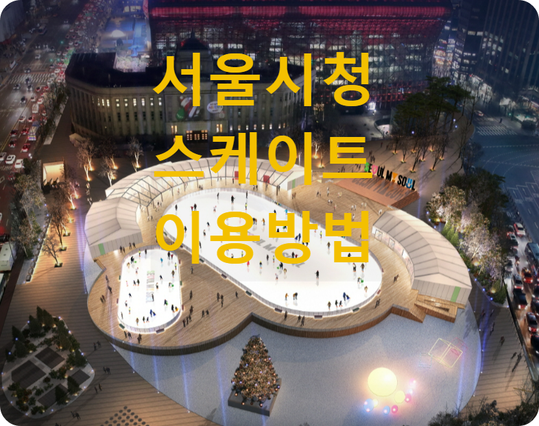 서울광장 스케이트