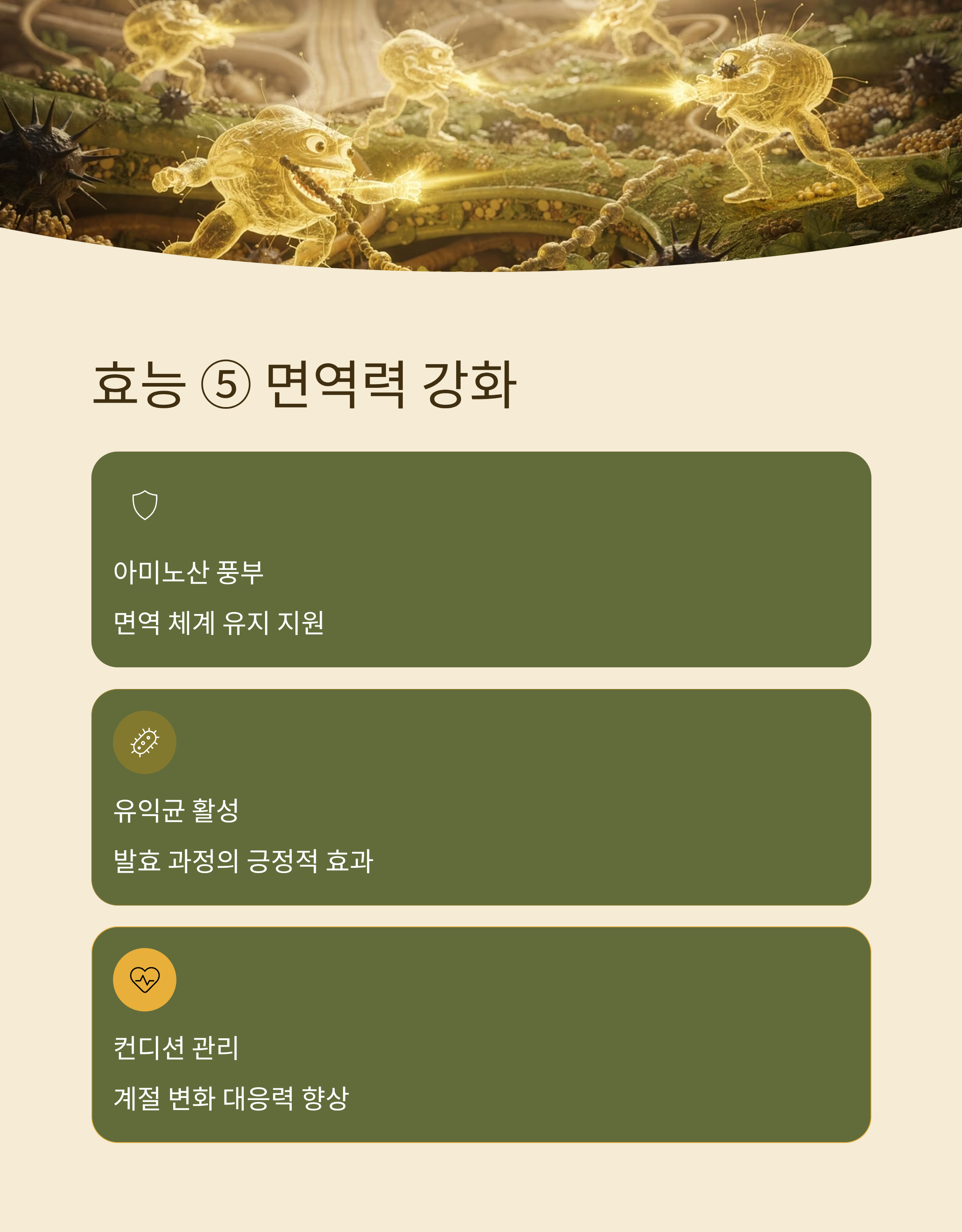 낫또의 효능 면역력 강화