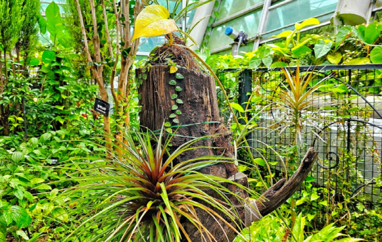 이천시 환경학습관