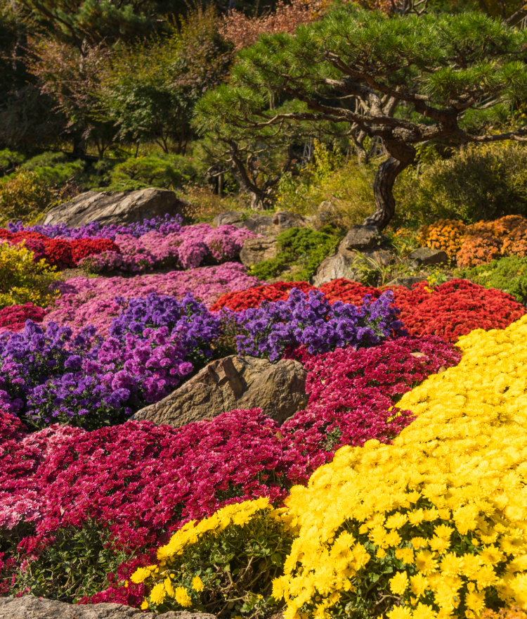 화담숲 모노레일 예약방법, 입장료