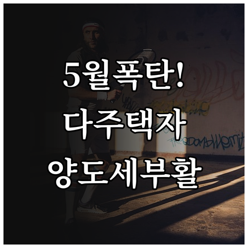 5월 9일 이후 다주택자 양도세 중과..