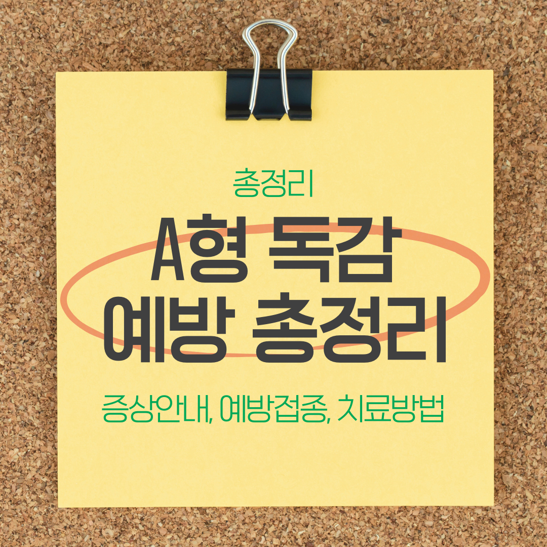 A형 독감 예방 총정리