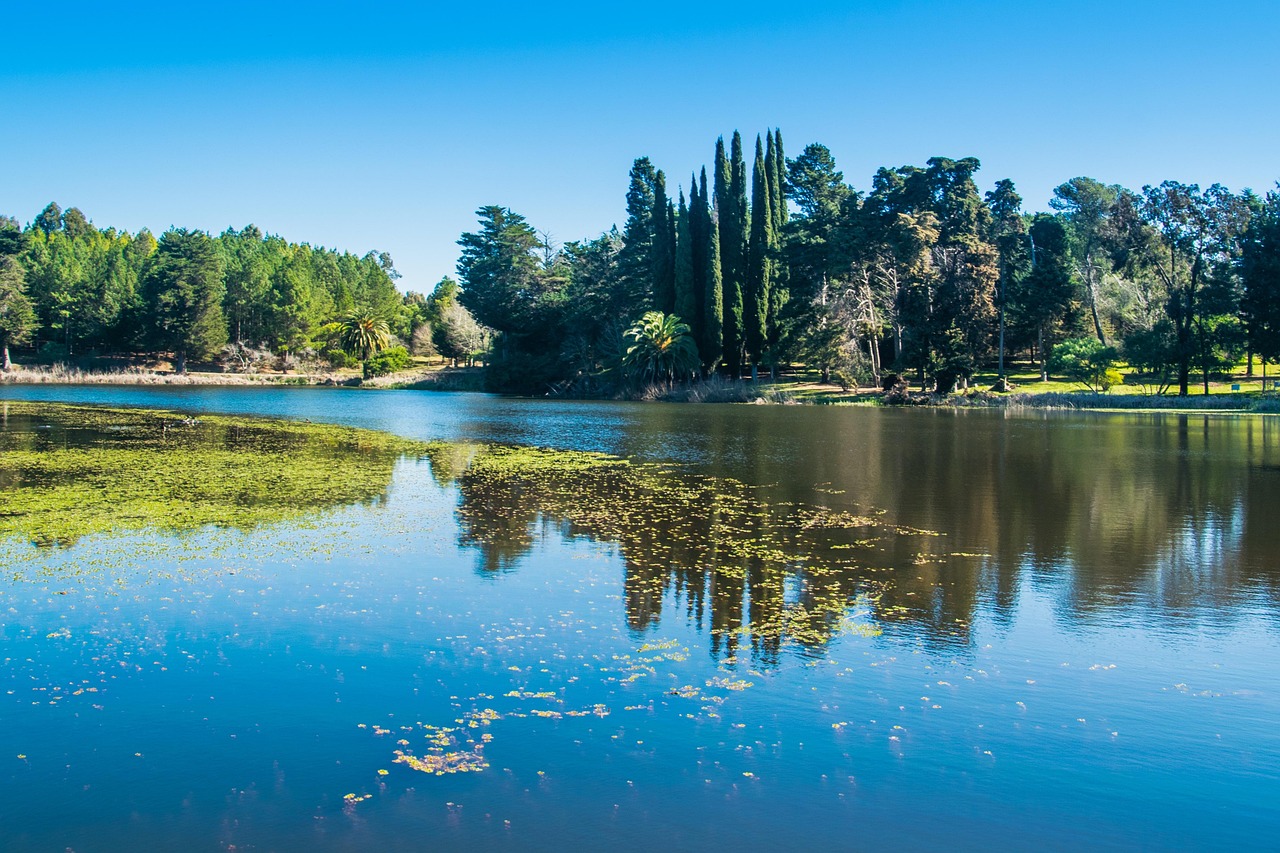 우루과이 라플라타강