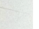 먼지다듬이 벌레