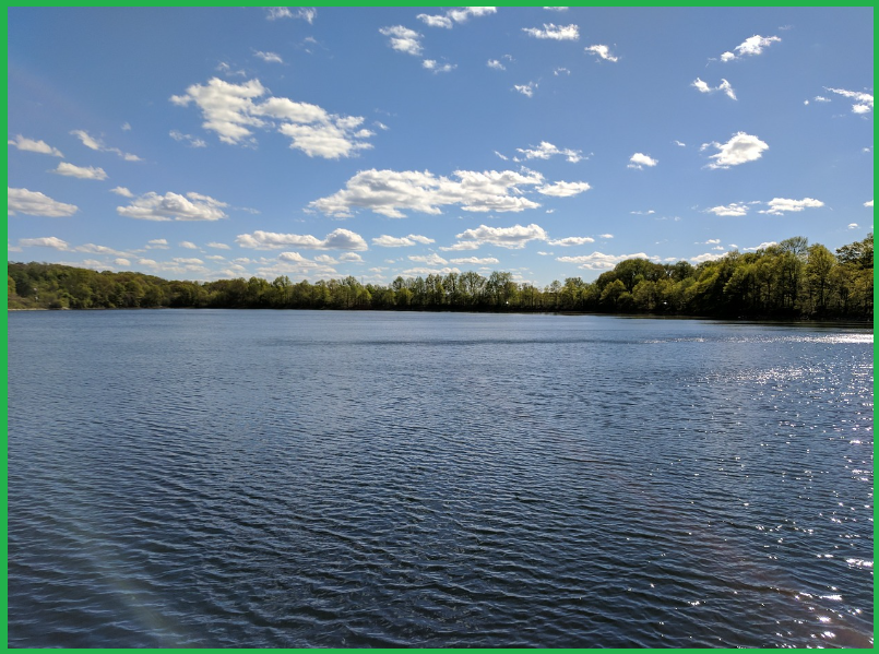 코막힘-재채기-눈가려움-피부가려움