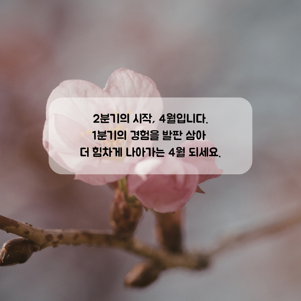 4월 인사말 문구 이미지 모음집 좋은글귀 봄 인사말