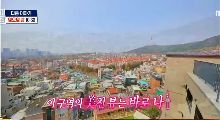 구해줘홈즈 서울 전세 강남역 40분 투룸 3억 8천 반전세 월세 50만 조실장 박하나 문희경 우화한세계 이거에반하니 세상에일원집이 투룸인가벽 금사빠천사빠 소개