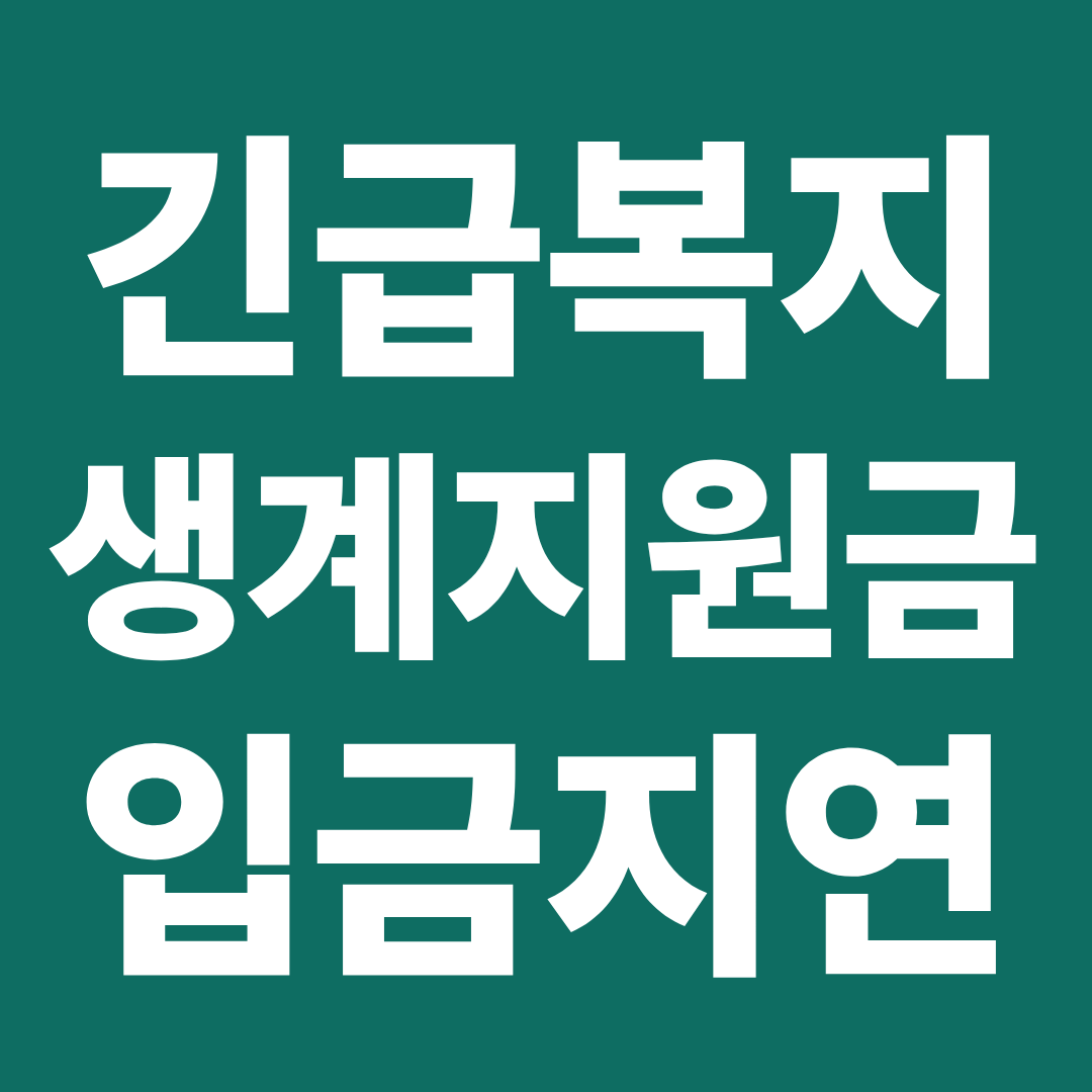 긴급복지 생계지원금 입금 안될 때 ❘ 지연 이유·확인 방법 한 번에 정리