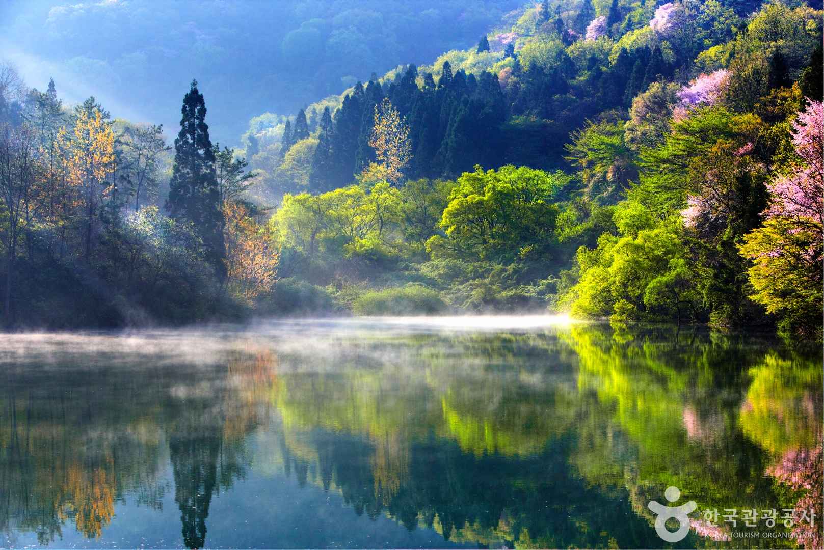 화순 세량지