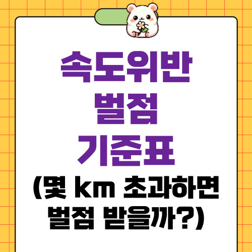 속도위반 벌점