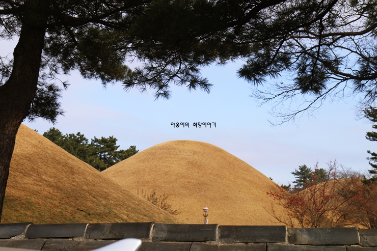 경주 가볼만한곳 베스트10