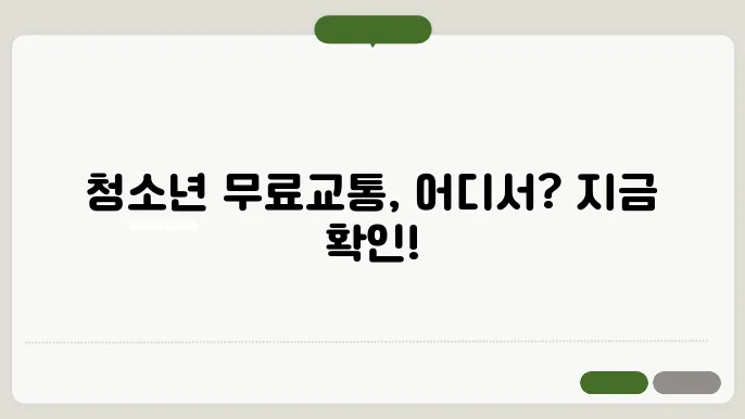 전국 청소년 무료 교통 혜택, 적용되는 짅지어?