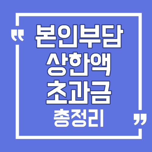 본인부담상한액 초과금 지급신청