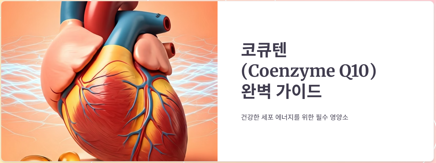 코큐텐 성분 함량, 효능, 복용법, 부작용, 총정리!