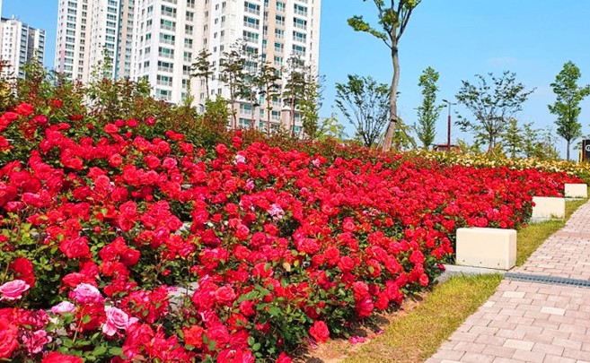 인천청라호수공원