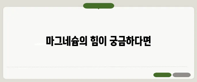 마그네슘 많은 음식 피로회복에 딱 좋아요!