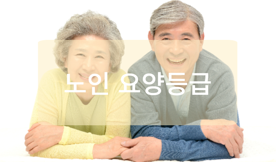 노인 요양등급