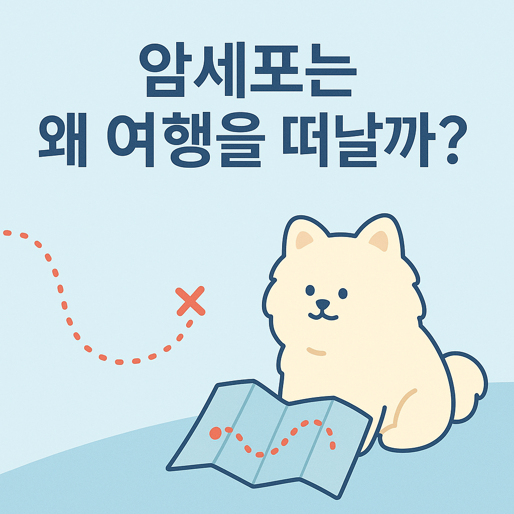 전이암
암전이경로
암세포 이동
전이암 쉽게 설명
암이 퍼지는 이유
전이암 증상
혈행성 전이
림프성 전이
감성 의학글
누리와 함께