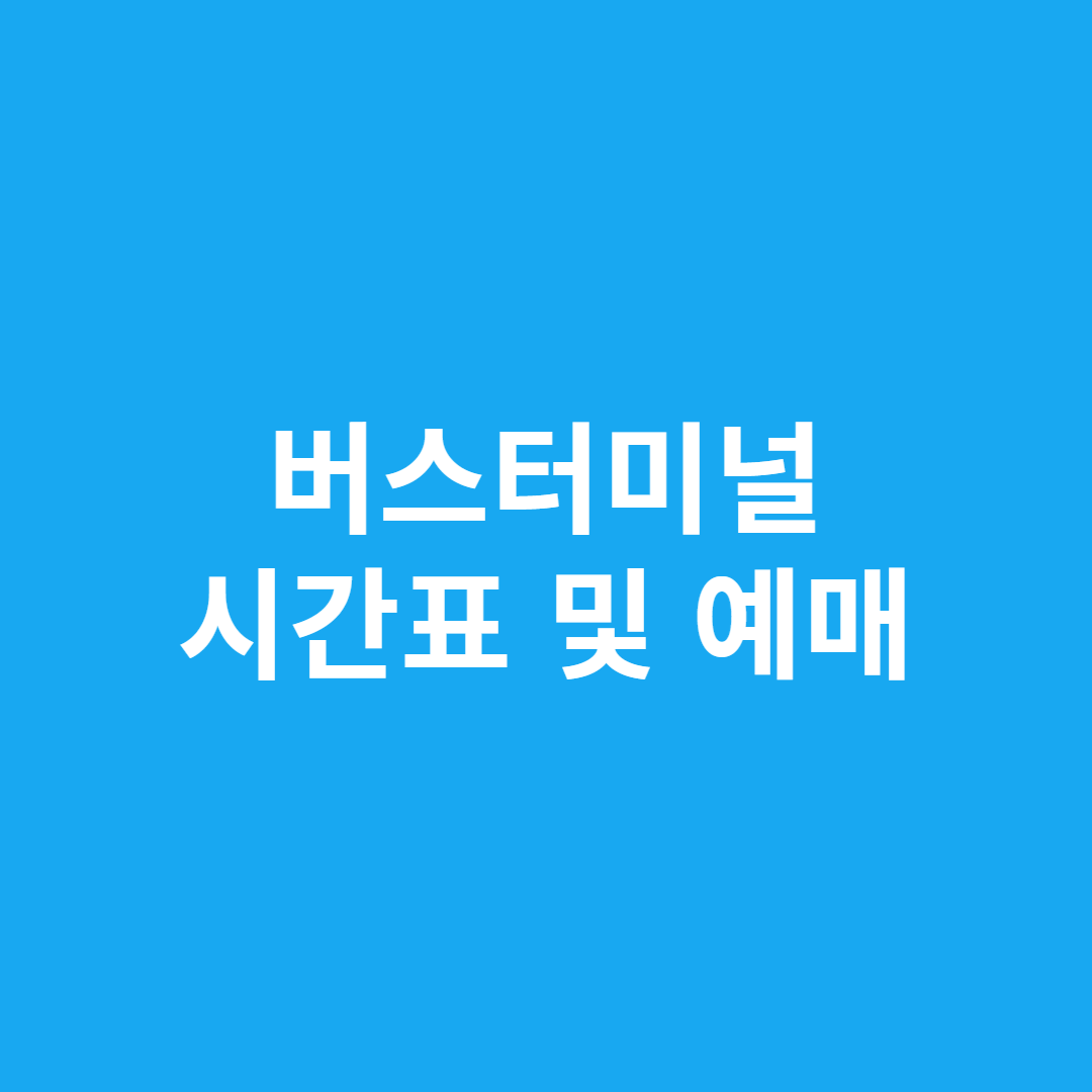버스터미널 시간표 및 예매