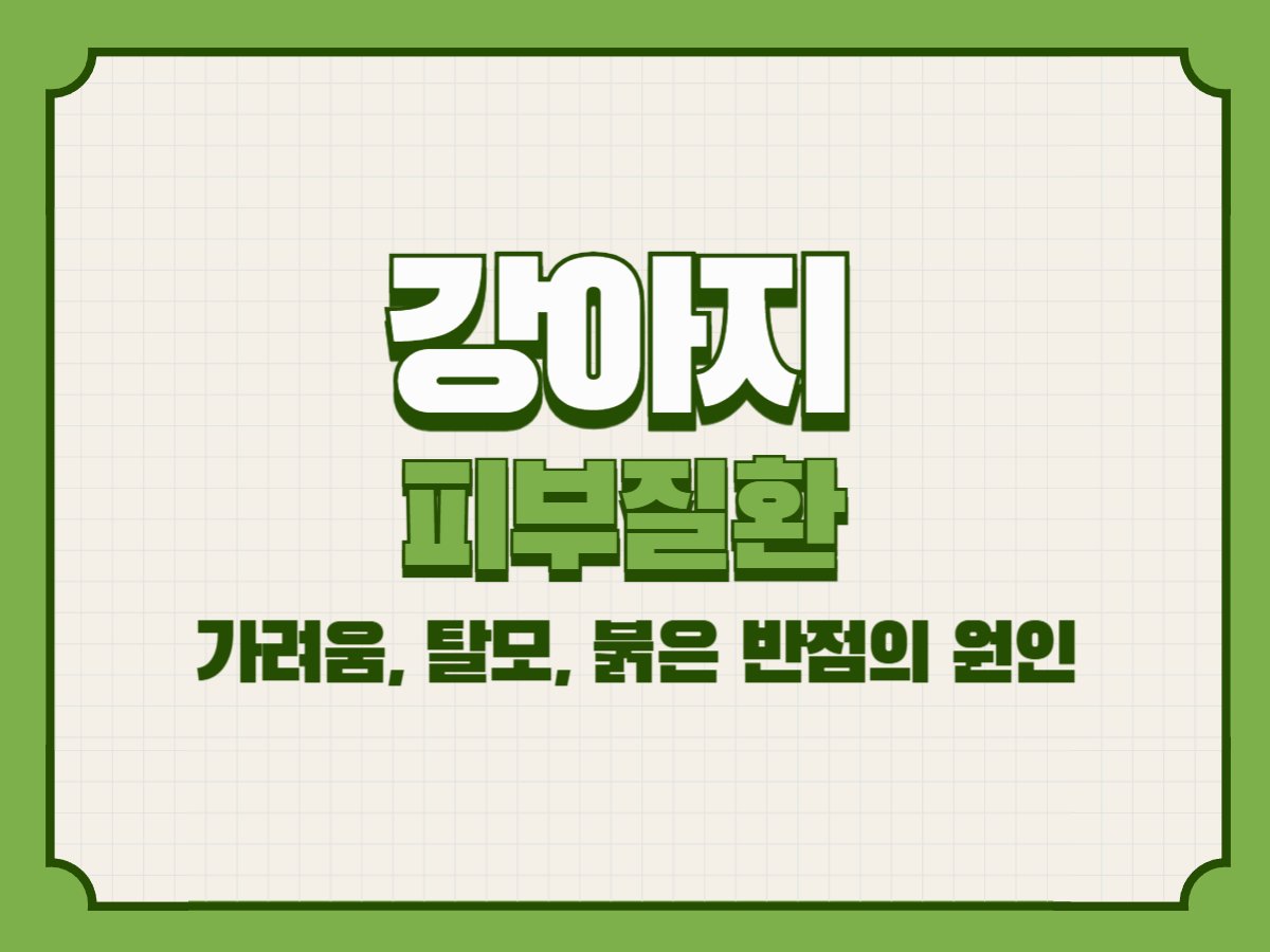 강아지 피부질환 – 가려움, 탈모, 붉은 반점의 원인