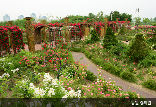 대전 한밭수목원 꽃구경