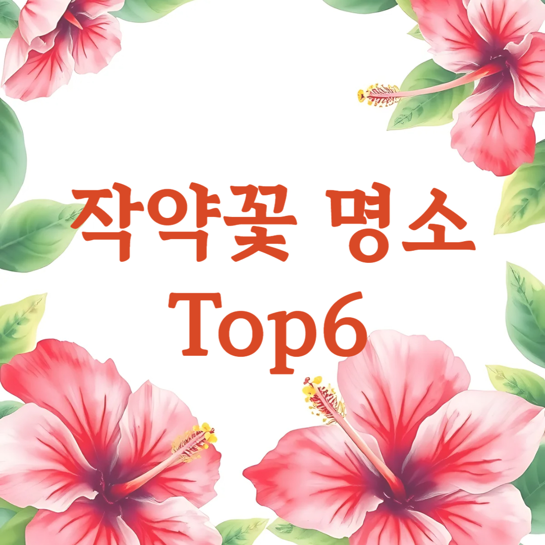 작약꽃 명소