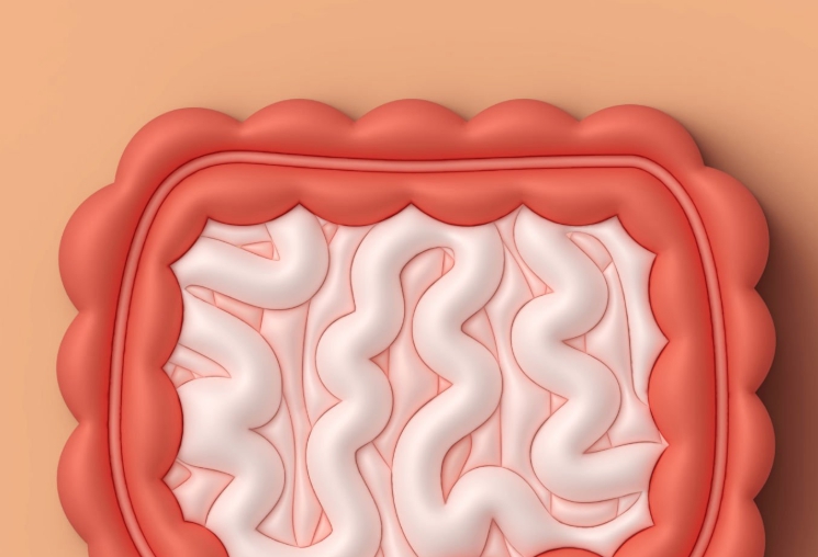 피틴산과 렉틴의 분자작용 : 장누수 유발 메커니즘