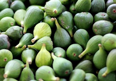 무화과 고르는법