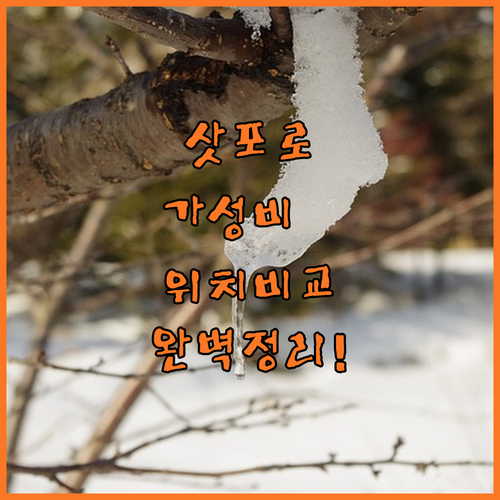 삿포로 호텔 추천 가성비 좋은 숙소 ..