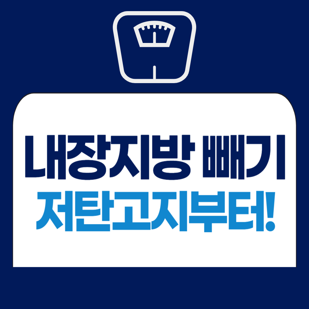 복부 내장지방 빼는법 - 저탄고지 시작하기